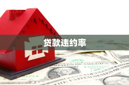 凤庆贷款违约率