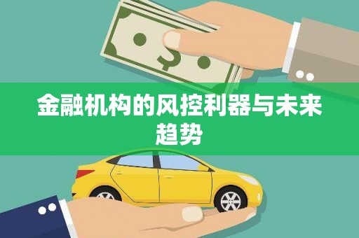 凤庆金融机构的风控利器与未来趋势