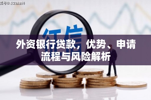 凤庆外资银行贷款，优势、申请流程与风险解析