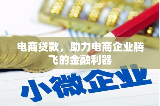 凤庆电商贷款，助力电商企业腾飞的金融利器