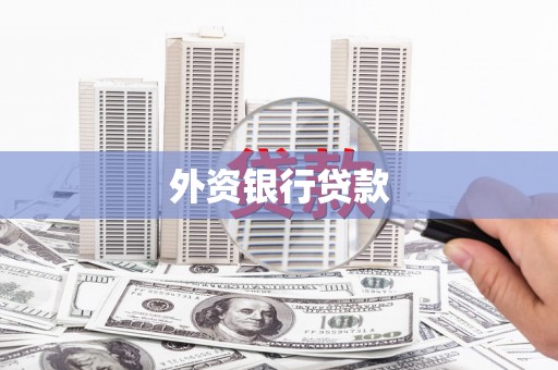 凤庆外资银行贷款