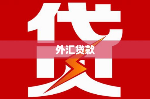凤庆外汇贷款
