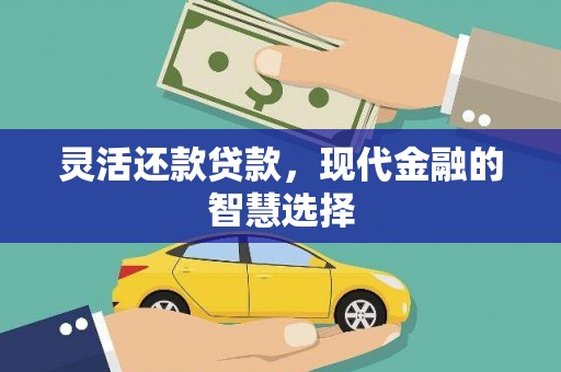 凤庆灵活还款贷款，现代金融的智慧选择