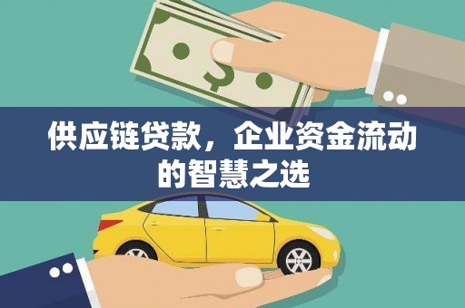 凤庆供应链贷款，企业资金流动的智慧之选