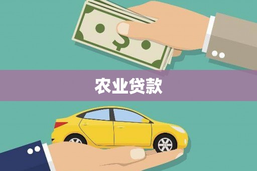 凤庆农业贷款