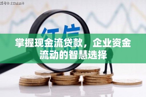 凤庆掌握现金流贷款，企业资金流动的智慧选择