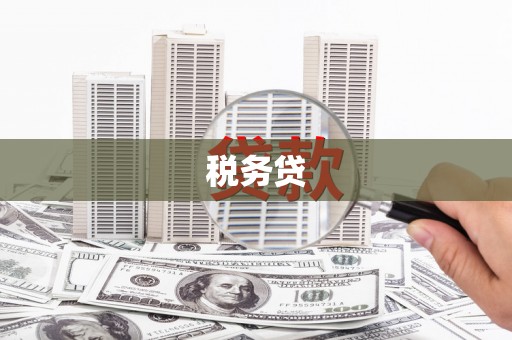 凤庆税务贷