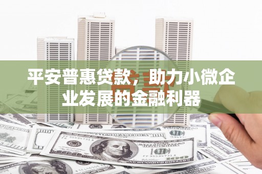凤庆平安普惠贷款，助力小微企业发展的金融利器
