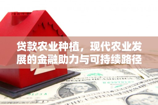 凤庆贷款农业种植，现代农业发展的金融助力与可持续路径