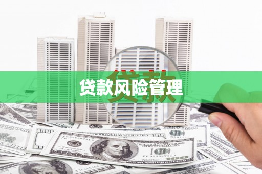 凤庆贷款风险管理