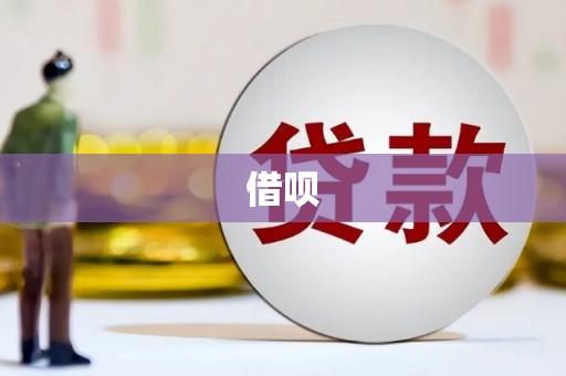 凤庆借呗