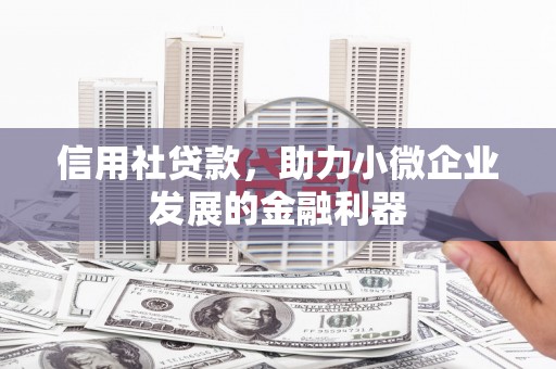 凤庆信用社贷款，助力小微企业发展的金融利器