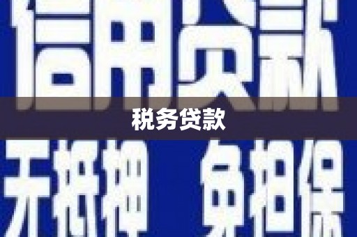凤庆税务贷款