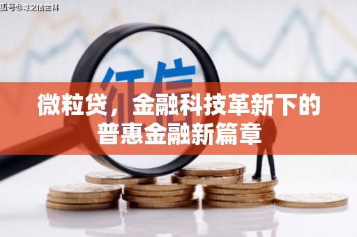 凤庆微粒贷，金融科技革新下的普惠金融新篇章