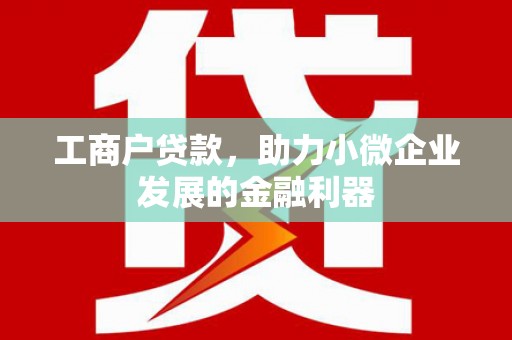 凤庆工商户贷款，助力小微企业发展的金融利器