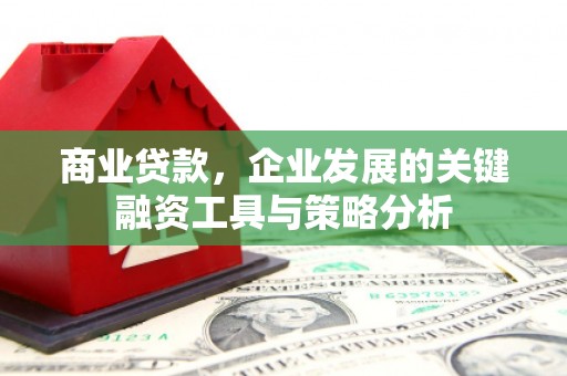 凤庆商业贷款，企业发展的关键融资工具与策略分析