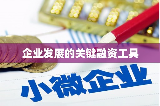 凤庆企业发展的关键融资工具