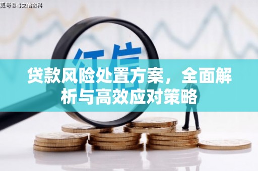 凤庆贷款风险处置方案，全面解析与高效应对策略