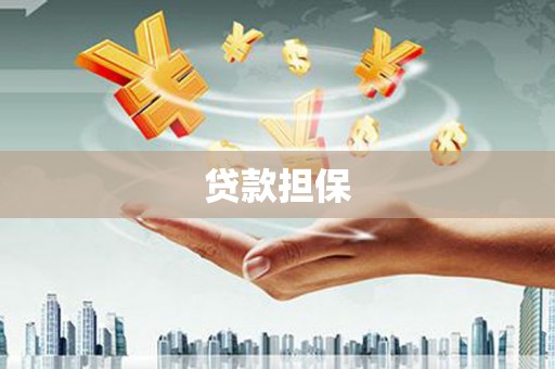 凤庆贷款担保