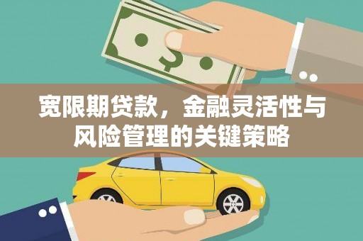 凤庆宽限期贷款，金融灵活性与风险管理的关键策略