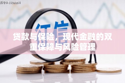 凤庆贷款与保险，现代金融的双重保障与风险管理