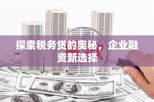 凤庆探索税务贷的奥秘，企业融资新选择