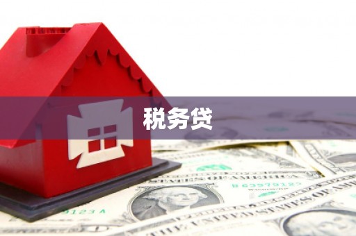凤庆税务贷