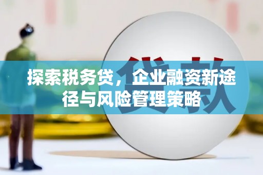 凤庆探索税务贷，企业融资新途径与风险管理策略