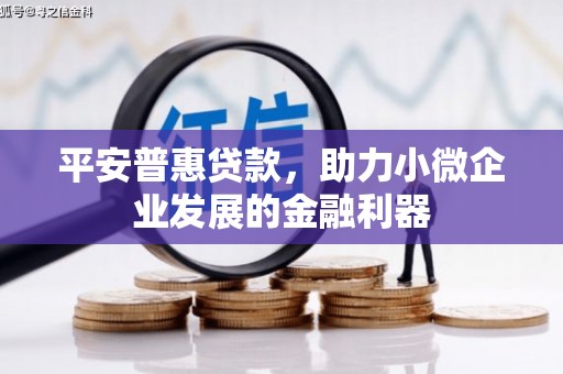凤庆平安普惠贷款，助力小微企业发展的金融利器