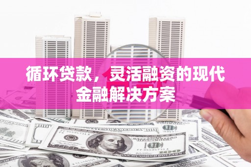 凤庆循环贷款，灵活融资的现代金融解决方案