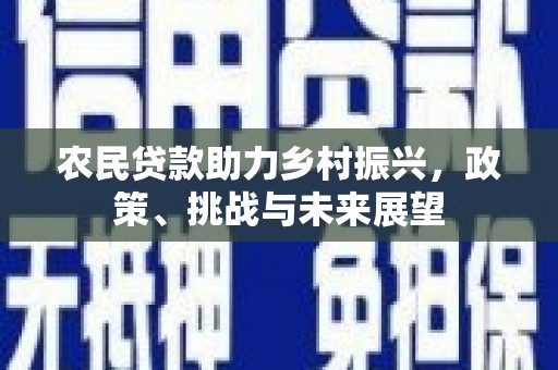 凤庆农民贷款助力乡村振兴，政策、挑战与未来展望