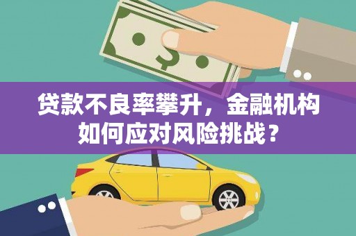 凤庆贷款不良率攀升，金融机构如何应对风险挑战？