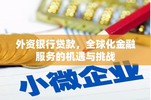 凤庆外资银行贷款，全球化金融服务的机遇与挑战