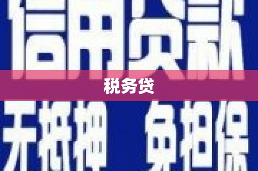 凤庆税务贷