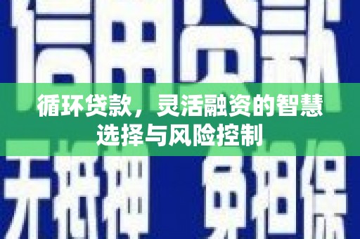 凤庆循环贷款，灵活融资的智慧选择与风险控制