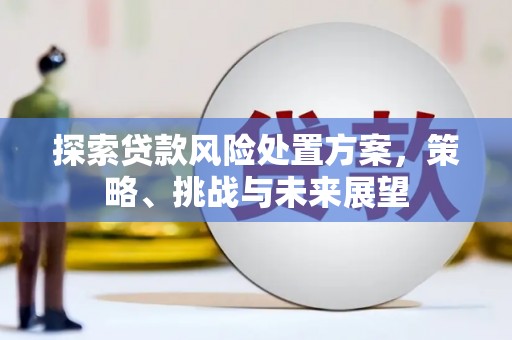 凤庆探索贷款风险处置方案，策略、挑战与未来展望