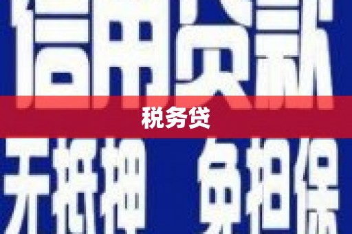 凤庆税务贷