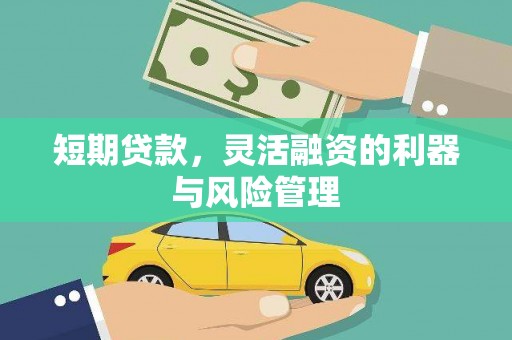 凤庆短期贷款，灵活融资的利器与风险管理