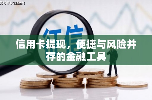 凤庆信用卡提现，便捷与风险并存的金融工具