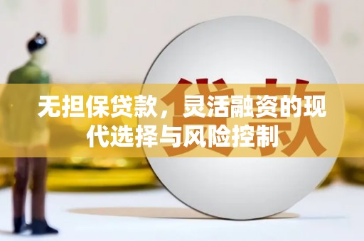 凤庆无担保贷款，灵活融资的现代选择与风险控制
