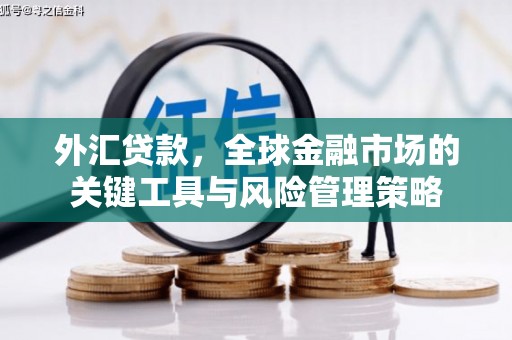 凤庆外汇贷款，全球金融市场的关键工具与风险管理策略