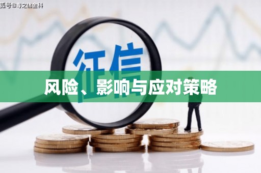 凤庆风险、影响与应对策略