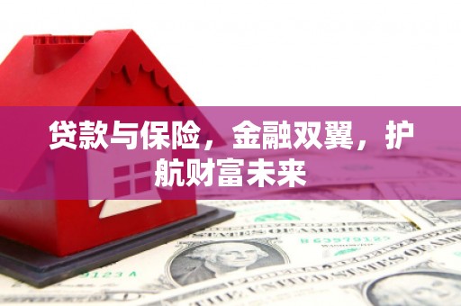 凤庆贷款与保险，金融双翼，护航财富未来