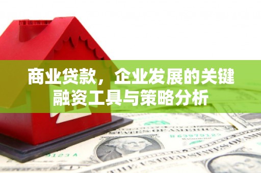 凤庆商业贷款，企业发展的关键融资工具与策略分析