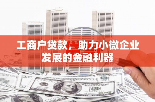 凤庆工商户贷款，助力小微企业发展的金融利器