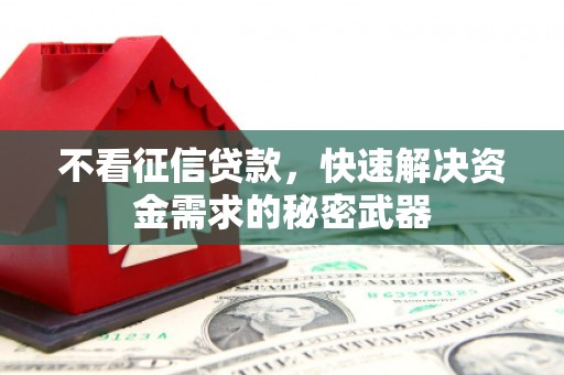 凤庆不看征信贷款，快速解决资金需求的秘密武器
