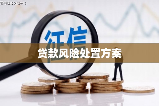 凤庆贷款风险处置方案