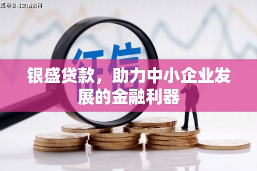 凤庆银盛贷款，助力中小企业发展的金融利器