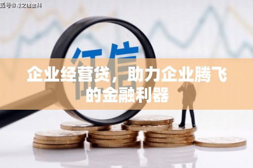 凤庆企业经营贷，助力企业腾飞的金融利器
