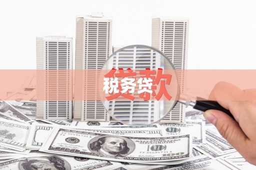凤庆税务贷